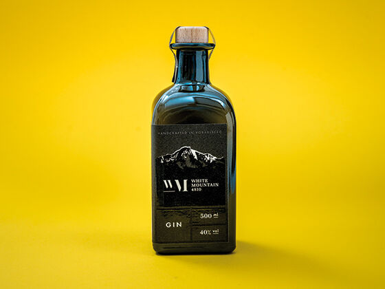 GAM-AMOnt-Blanc-Gin-740x485.jpg GAM-AMOnt-Blanc-Gin-740x485.jpg